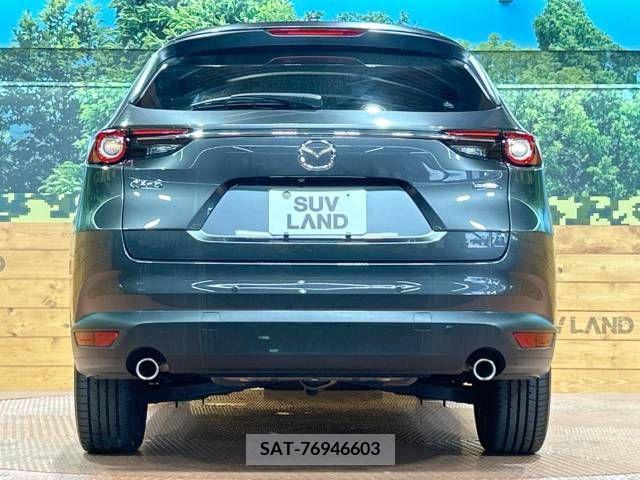 Mazda CX-8 2022-02 358806-15