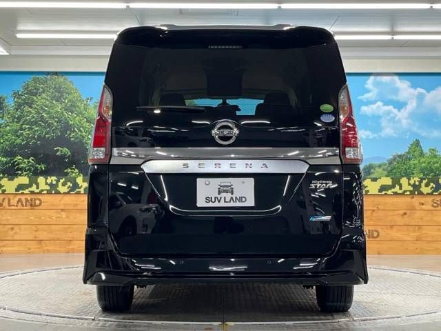 Nissan SERENA 2017-06 15789-15