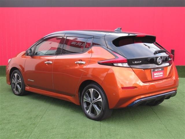 Nissan LEAF 2020-02 28568-1