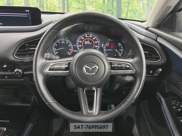 Mazda CX-30 2021-08 302113-11