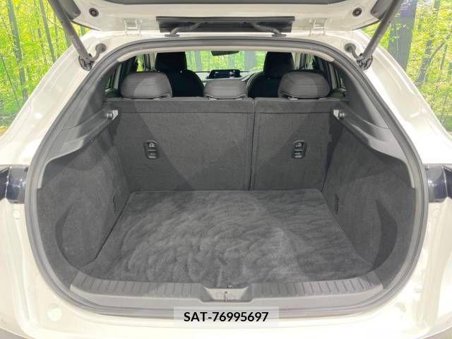 Mazda CX-30 2021-08 302113-10