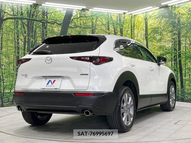 Mazda CX-30 2021-08 302113-17