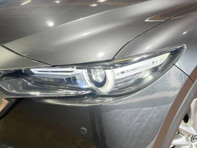 Mazda CX-8 2018-03 16986-12