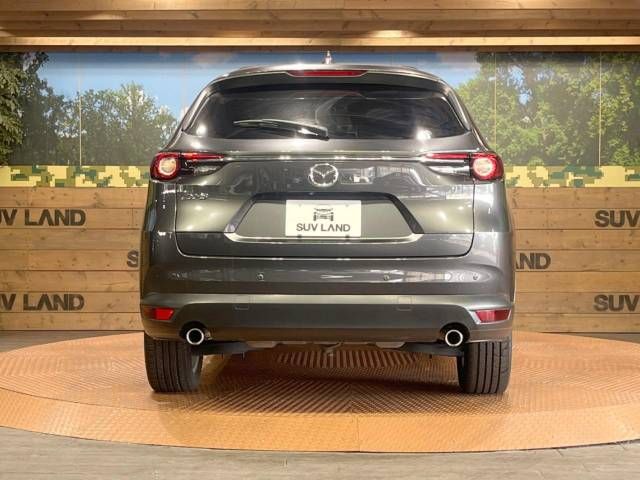 Mazda CX-8 2018-03 16986-15