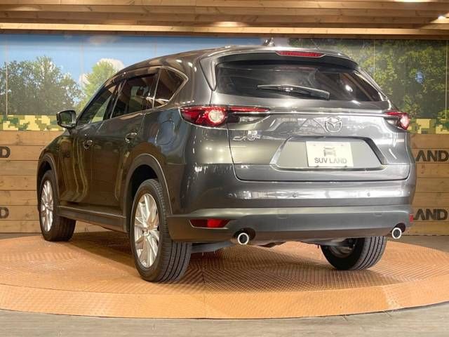 Mazda CX-8 2018-03 16986-17
