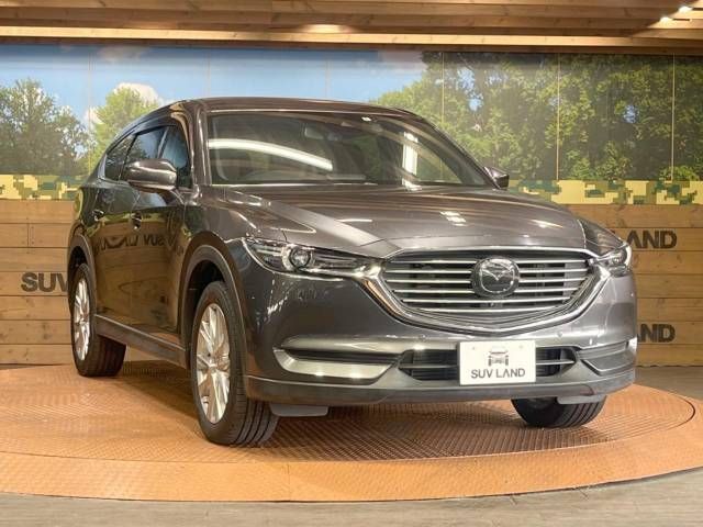 Mazda CX-8 2018-03 16986-16