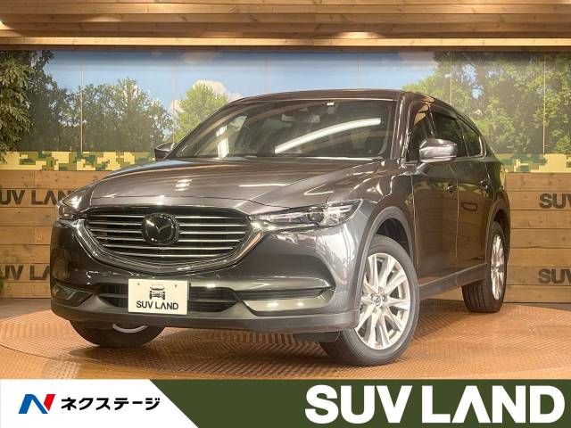 Mazda CX-8 2018-03 16986-0
