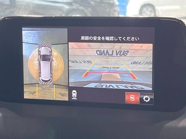Mazda CX-8 2018-03 16986-3