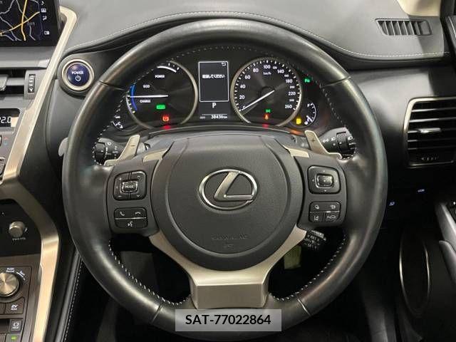 Lexus NX 2021-04 276040-11