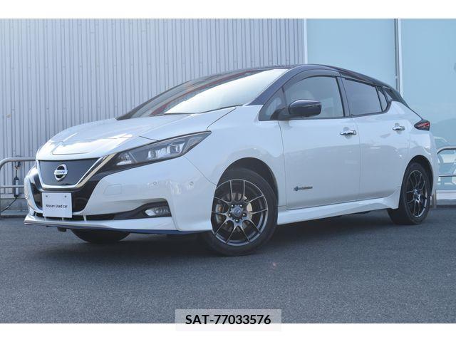 Nissan LEAF 2021-04 324809-0