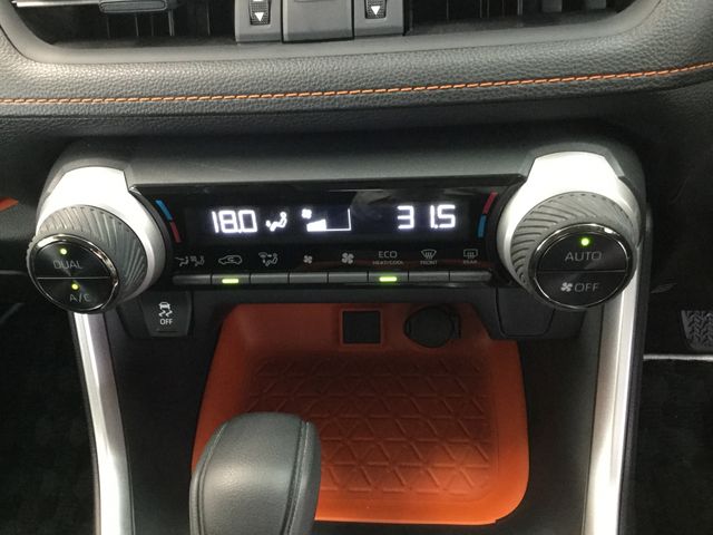 Toyota RAV4 2019-12 181156-21