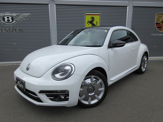 VolksWagen THE BEETLE 2018-11 1865-0
