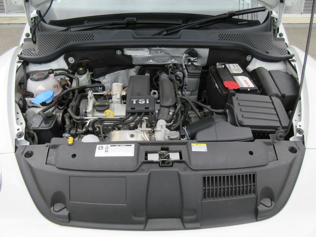 VolksWagen THE BEETLE 2018-11 1865-29