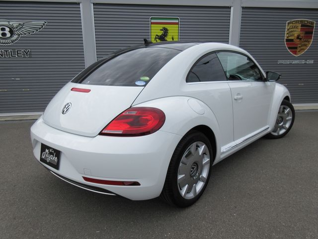 VolksWagen THE BEETLE 2018-11 1865-14