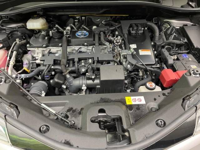 Toyota C-HR 2018-02 29178-18