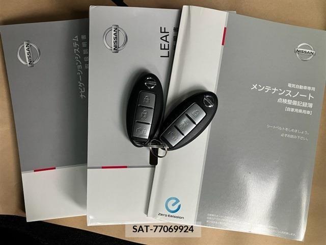 Nissan LEAF 2020-09 324810-20