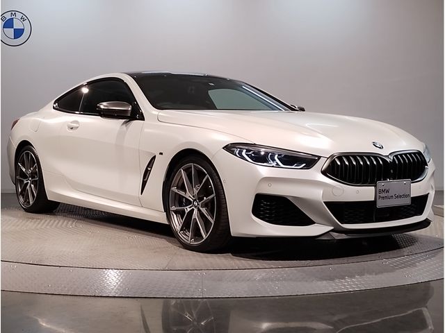 Bmw 8 SERIES 2020-03 15697-4