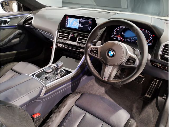 Bmw 8 SERIES 2020-03 15697-18