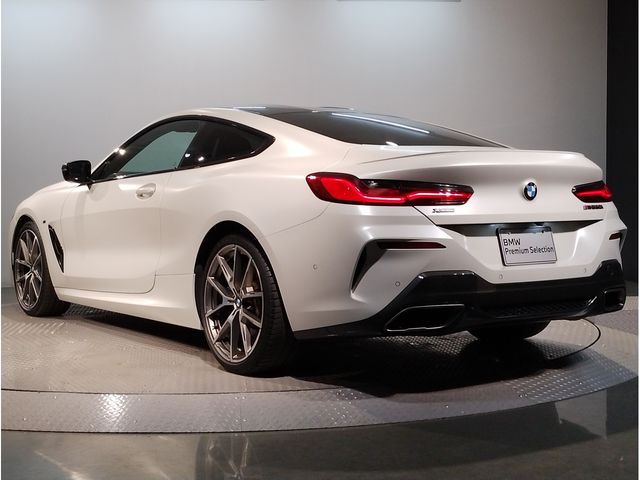 Bmw 8 SERIES 2020-03 15697-2