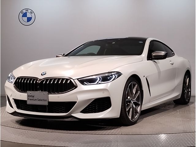 Bmw 8 SERIES 2020-03 15697-0