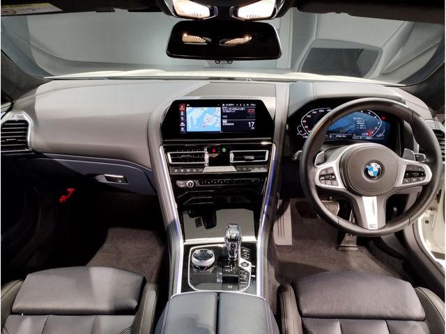 Bmw 8 SERIES 2020-03 15697-16