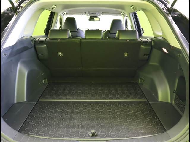 Toyota RAV4 2020-06 6203-23