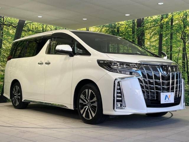 Toyota ALPHARD 2019-10 182221-16
