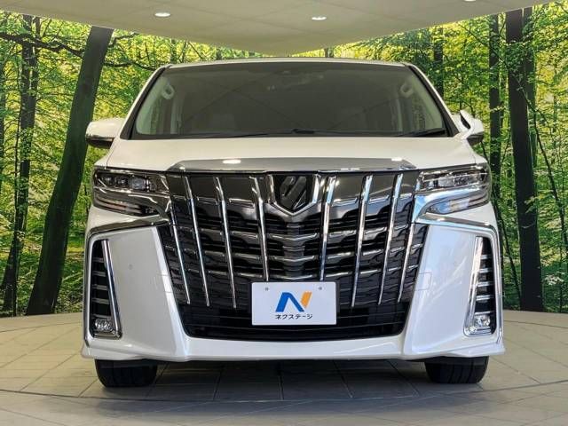 Toyota ALPHARD 2019-10 182221-14