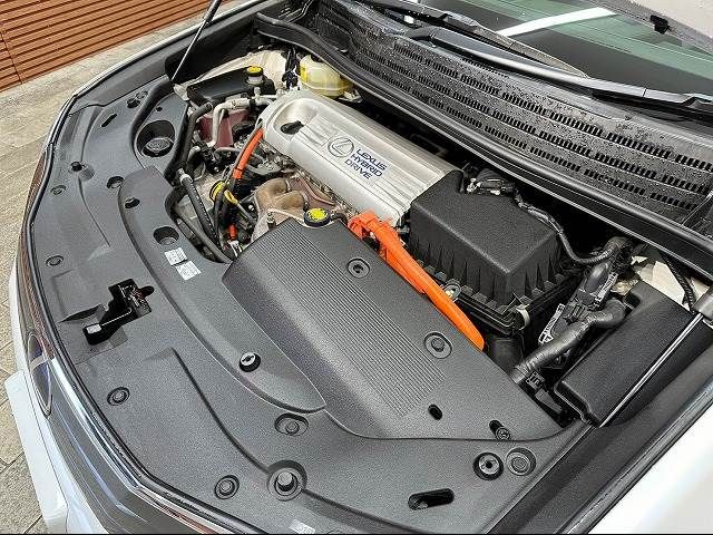 Lexus HS 2009-10 28492-18