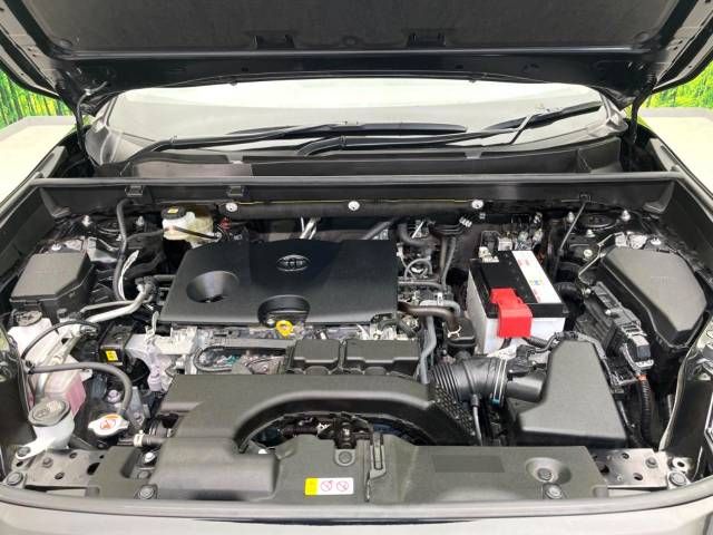 Toyota RAV4 2021-07 16004-18