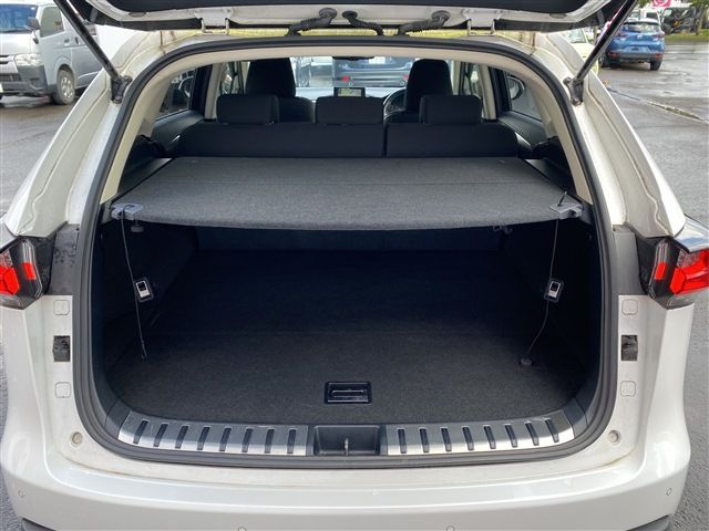 Lexus NX 2015-08 21840-14