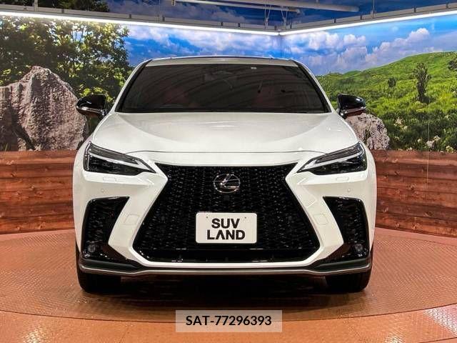 Lexus NX 2023-01 276046-11