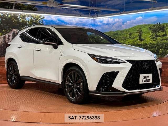 Lexus NX 2023-01 276046-13