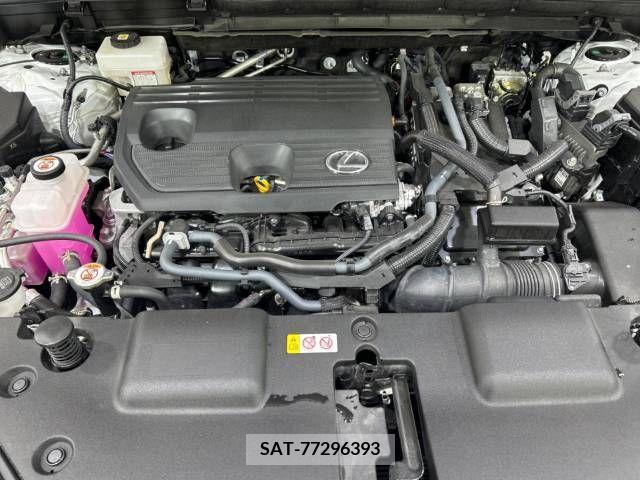 Lexus NX 2023-01 276046-18