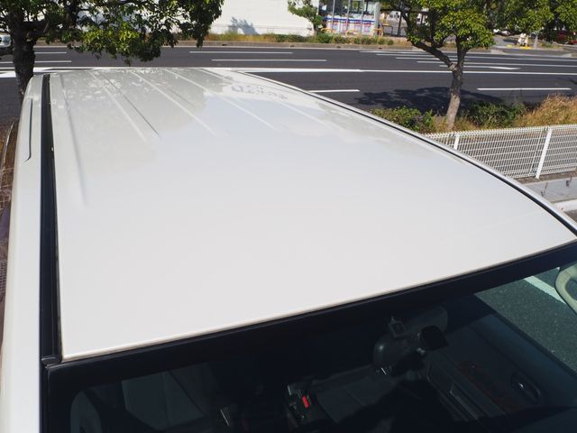 Mitsubishi DELICA D5 2009-03 18974-25