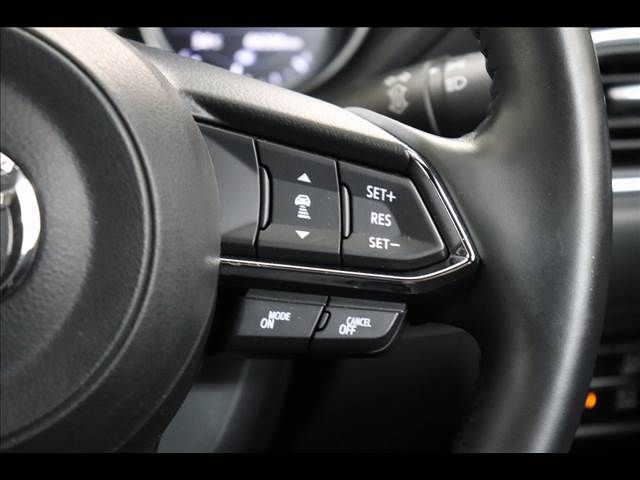 Mazda CX-8 2018-06 20314-7