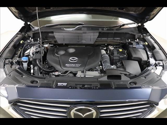 Mazda CX-8 2018-06 20314-24