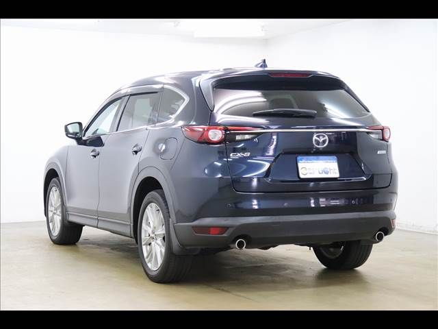 Mazda CX-8 2018-06 20314-19