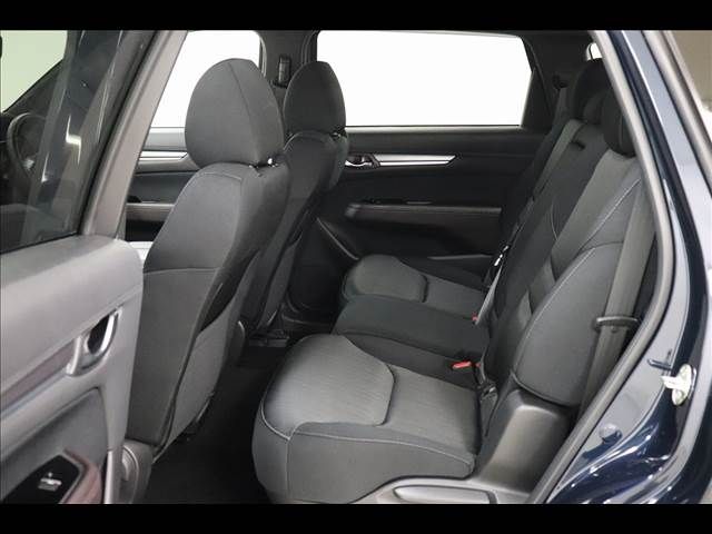 Mazda CX-8 2018-06 20314-11