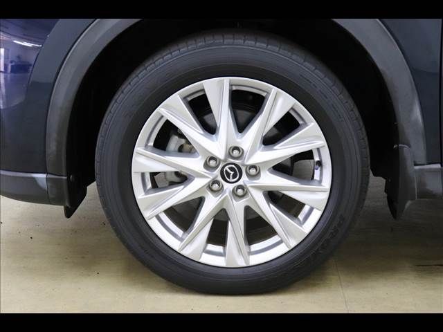Mazda CX-8 2018-06 20314-23