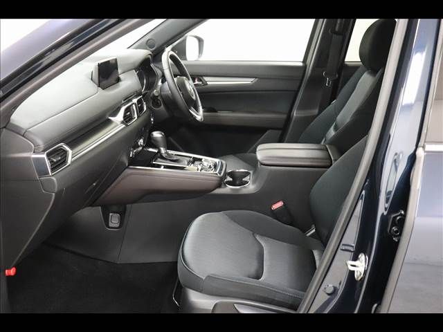 Mazda CX-8 2018-06 20314-10