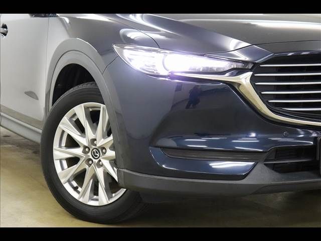 Mazda CX-8 2018-06 20314-22