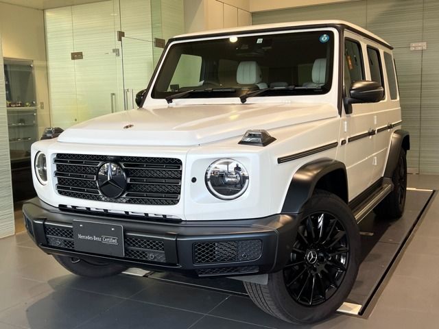 Mercedes Benz G-CLASS 2022-12 14818-0