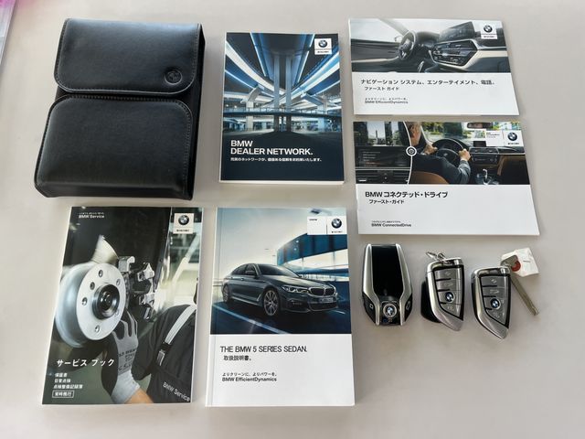 Bmw 5 SERIES 2017-04 21845-19