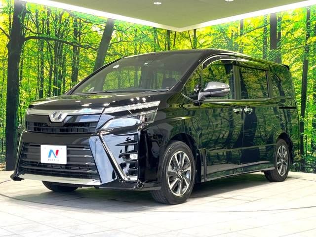 Toyota VOXY 2018-02 14219-16