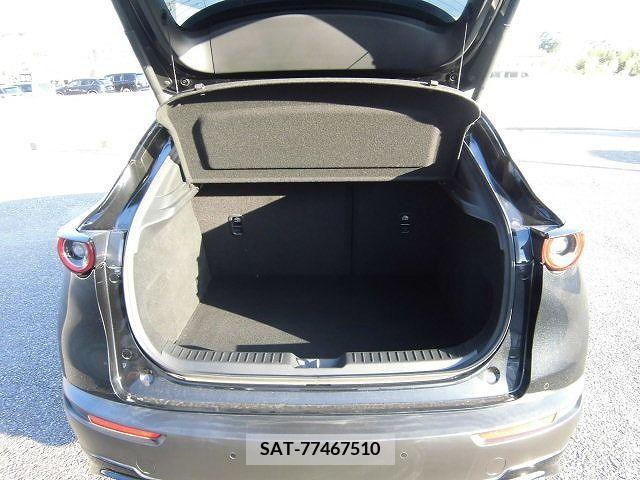 Mazda CX-30 2020-11 358527-21