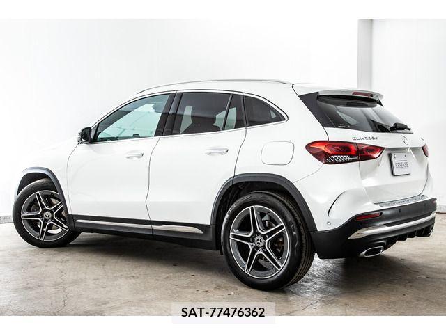 Mercedes Benz GLA-CLASS 2020-09 203316-10