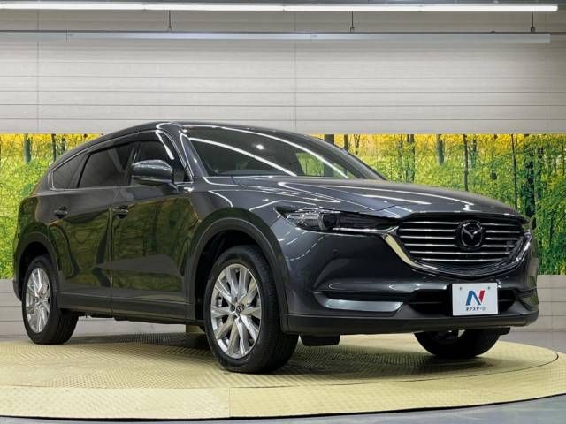 Mazda CX-8 2018-09 188667-17