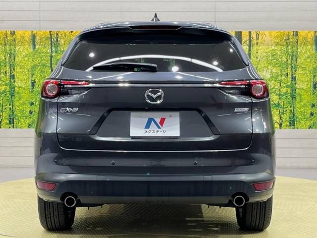 Mazda CX-8 2018-09 188667-16