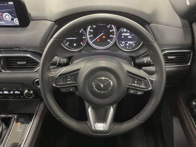 Mazda CX-8 2018-09 188667-12